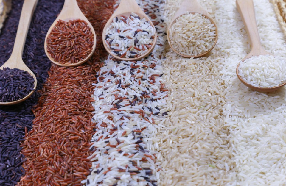 उत्तर प्रदेश की विभिन्न मंडियों में धान का मंडी भाव आज का